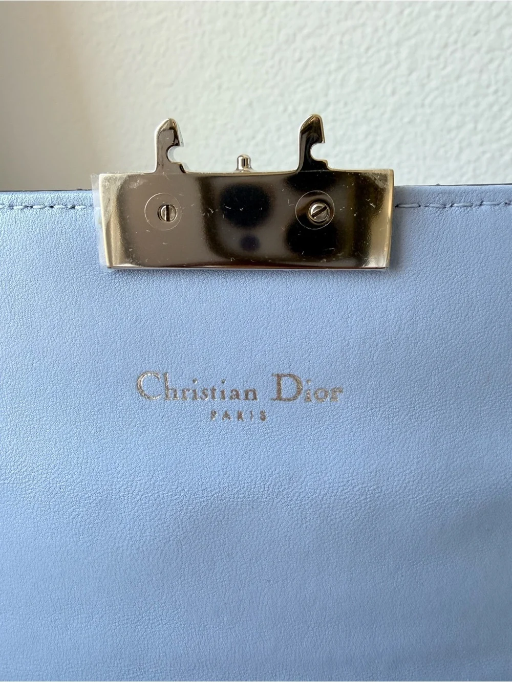 ⭐️Dior Quilted Two-Tone Leather Shoulder Bag in Iridescent Green and Light Blue